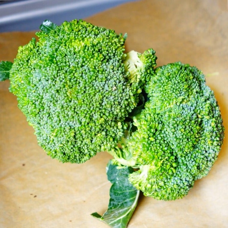 Brocolli 