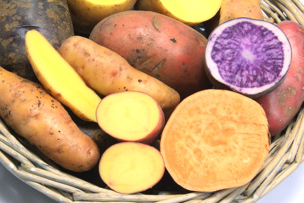 Colored Sweet Potatoes 