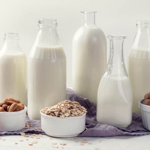 The Easiest Way To Make Plant-based Milk - Megunprocessed