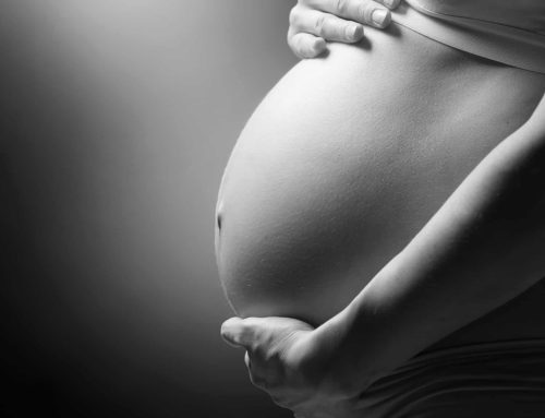 Plant-Based Pregnancy Update: 3rd Trimester