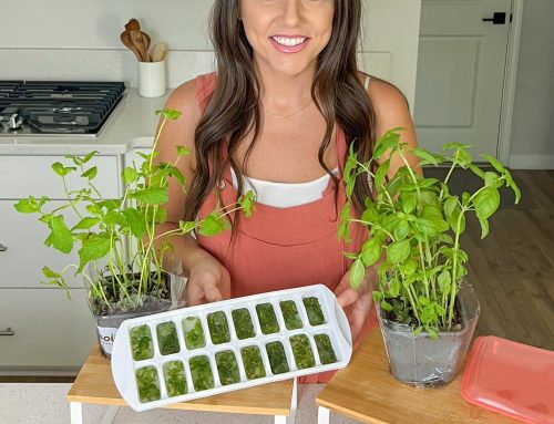 How To Freeze Herbs For Later